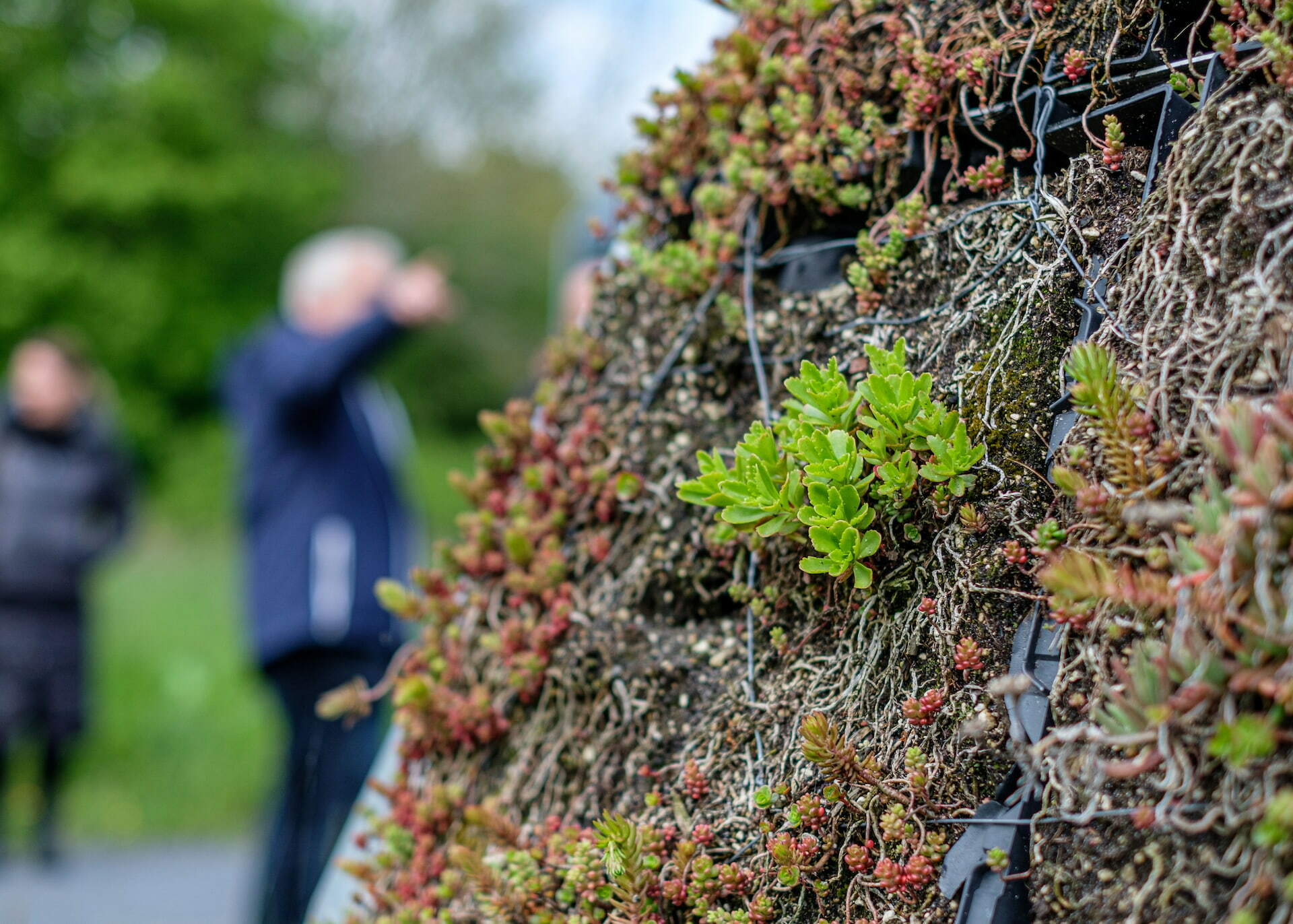 Klimaatadaptatie (1) (1)